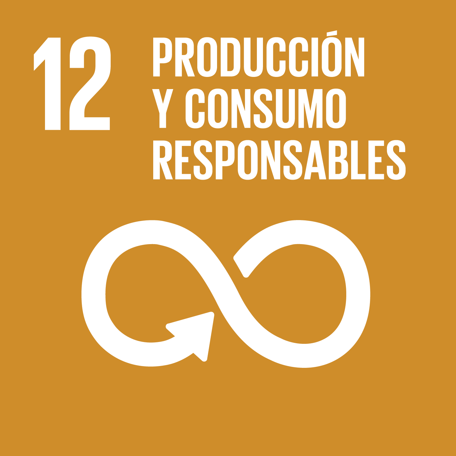 ODS 12: Producción y Consumo Responsables